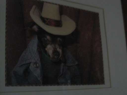 And Cocoa was quite a character. She is missed each and every day.