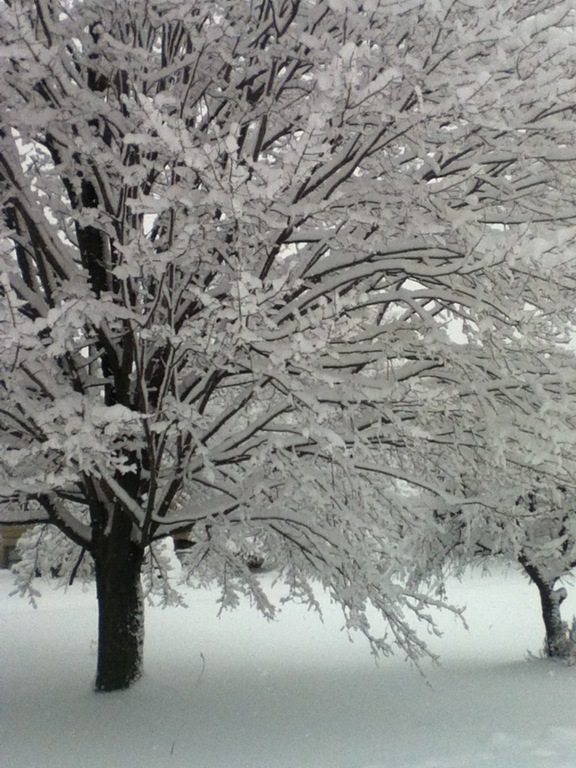 [IMG_0706%255B5%255D.jpg]