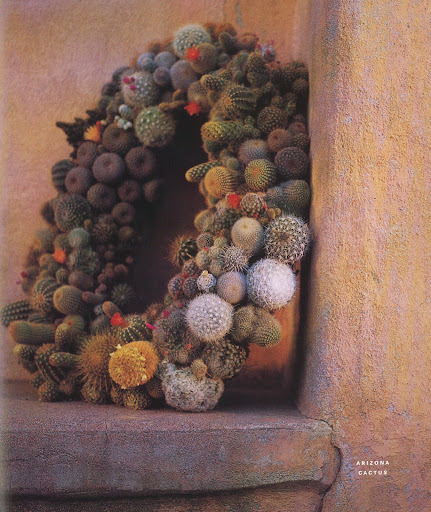 Arizona Cactus Wreath: Cactuses have been growin gin the southwestern United States for millions of years, and the cactus is such an icon here that one of the state's novelty license plates is emblazoned with an image of the saguaro, one of the biggest cactuses of all. Arizona Cactus Wreath: Cactuses have been growin gin the southwestern United States for millions of years, and the cactus is such an icon here that one of the state's novelty license plates is emblazoned with an image of the saguaro, one of the biggest cactuses of all.
