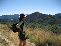 On the trail.