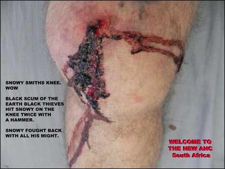 Smith Snowy Durban photographer attacked with ENTIRE APARTMENT BUILDING TENANTS WESTVILLE Feb52012 sun6am