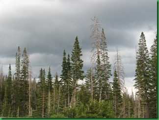 Cedar Breaks 060