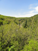 DSC03640.JPG Photo