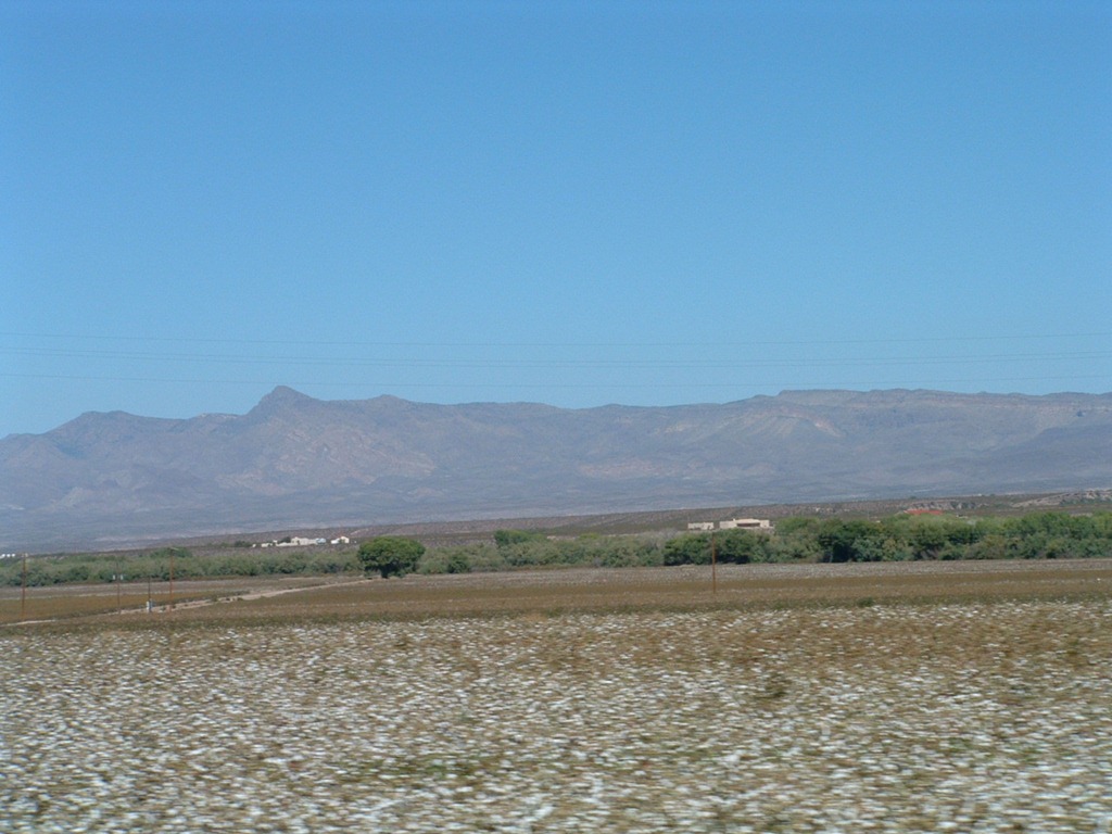 [3-Cotton-fields-with-a-mountain-view.jpg]