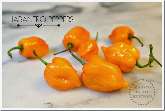 Creamy Habanero Sauce Creamy Habanero Sauce