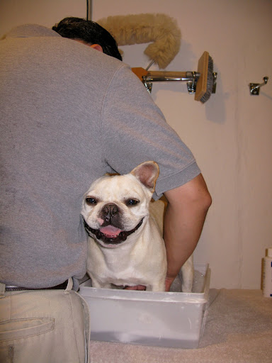 You're right, Franny - pampering is good.