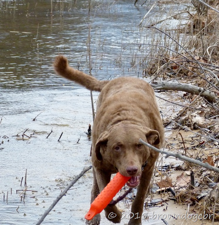 [P1490546%255B9%255D.jpg]