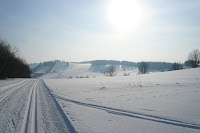 P1090879.JPG Photo