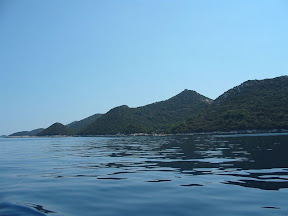 IMG_0010.jpg