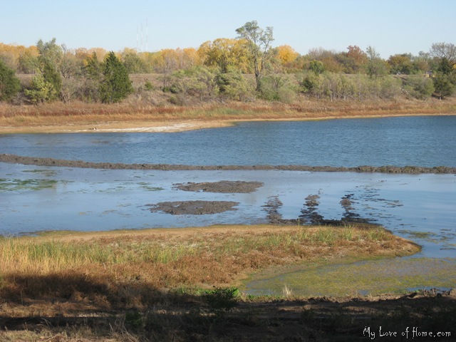 [IMG_0703%255B2%255D.jpg]
