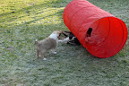 _DSC0009.JPG