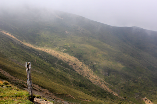 LA CAZA EN LAS CUMBRES DEL ORI (POR LOS VALLES NAVARROS PIRENAICOS III)