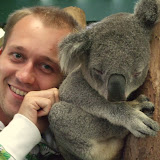 Koala sleeps up to 20 hours per day