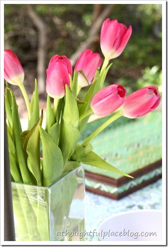 IMG_9644 IMG_9644