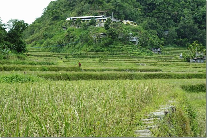 Banaue02(112) Banaue02(112)