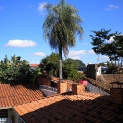 view from Tom & Sara's apt.