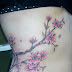 Cherry Blossom Branch