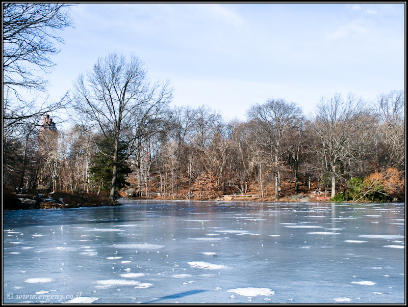 Вид на Америку: Central Park (foto america  фото путешествия new york manhattan  0401%252520USA%25252C%252520NY%25252C%252520Central%252520Park 11)