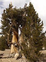 HPIM2420.JPG Photo