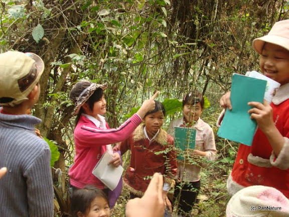 Learning about biodiversity in the forest.