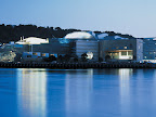 Sprachaufenthalt Wellington
