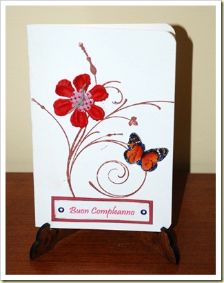 card animale card animale
