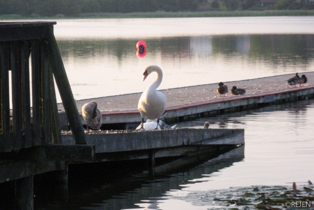 [IMGP3913%255B4%255D.jpg]