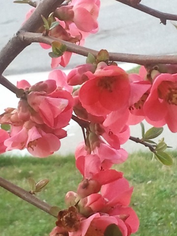 [2012032217.39.572.jpg]