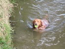 IMG_2841.JPG
