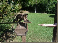 IMG_0399 IMG_0399