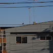 hokkaido_102.jpg