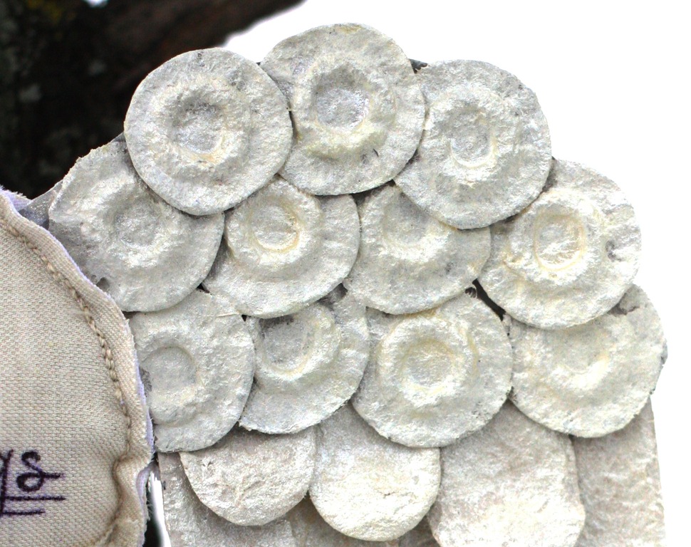 [sulle%2520ali-5%255B4%255D.jpg]