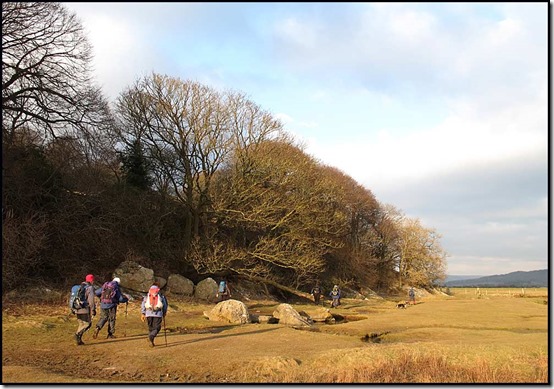 Lovely afternoon light by the salt marsh