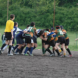 DSC_0137.JPG