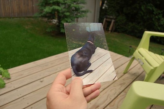 [old-photos-present-day-9%255B2%255D.jpg]