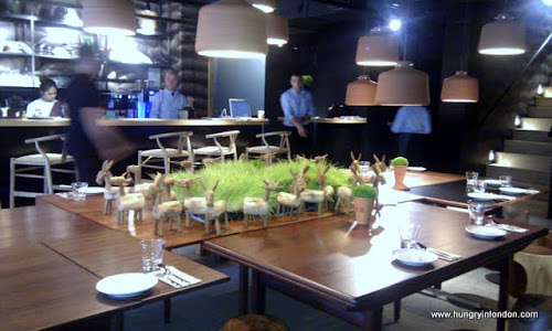 phone pics Aug11 142.jpg