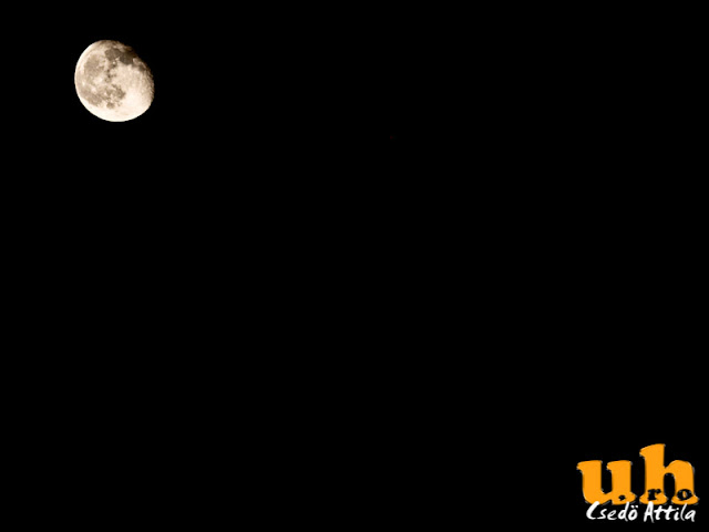 coldrockfest-9156692.jpg