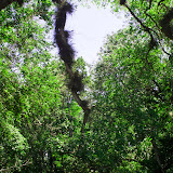 DSCF3883.jpg