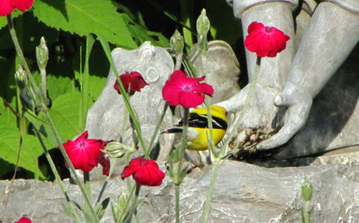 [MOM%2520AND%2520DADS_029%255B4%255D.jpg]