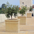 Palomino Planters.jpg