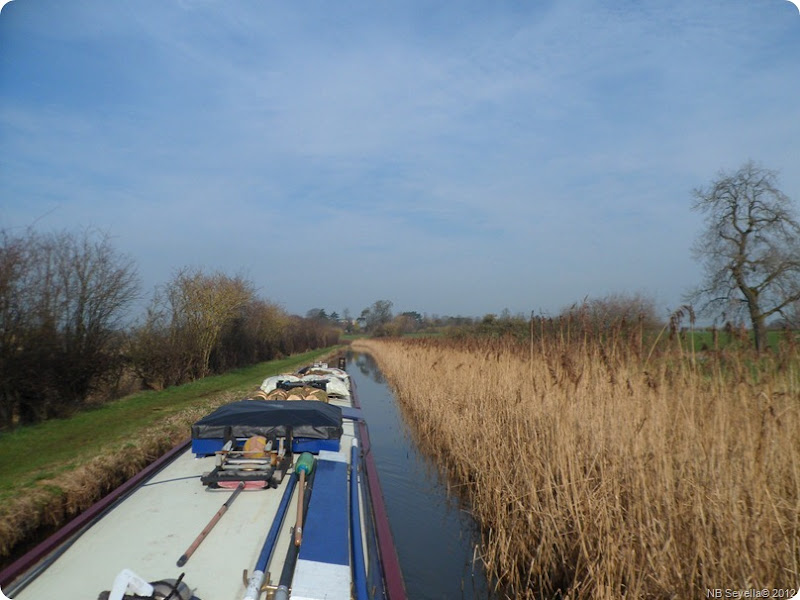 SAM_0014 Overgrown channel SAM_0014 Overgrown channel