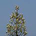 P1060444