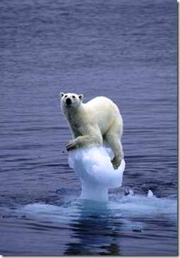 causes-of-global-warming