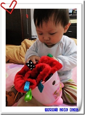 DSCF6208 DSCF6208