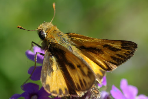 20120421cp_150