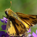 20120421cp_150