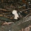 PA030002.JPG