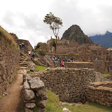 P5273362.JPG