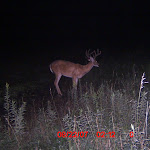 ICAM0044 (5).JPG