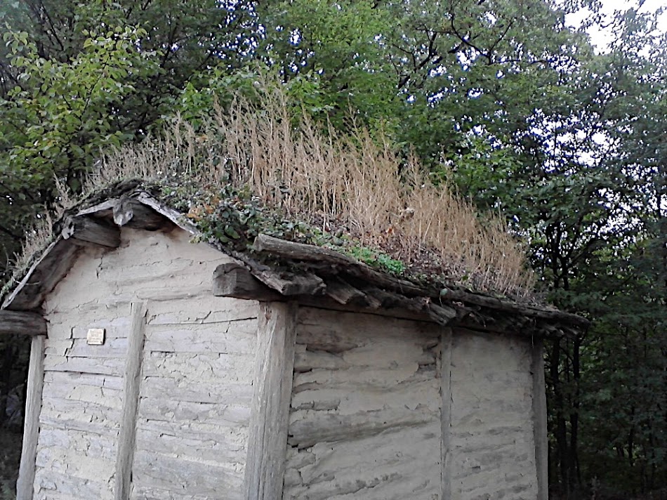 P091010_17.26.jpg